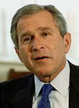 Bush.jpg