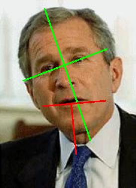 Bush1b.JPG