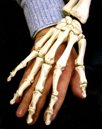 Mano-1a.jpg
