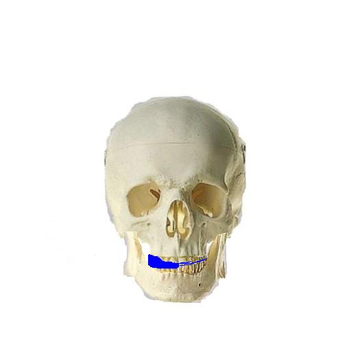 bene3.jpg