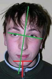 alex_s_prima1.jpg
