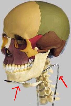 ioide1.jpg