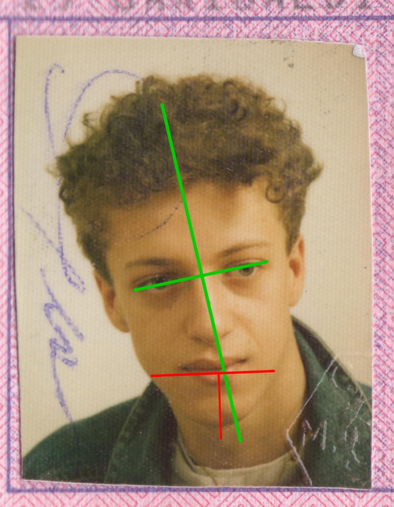 Maurypatenteokokok.jpg